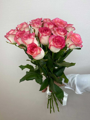 Цветы поштучно: Роза «Россия»